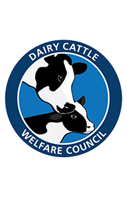 2022 Dairy Cattle Welfare Symposium Poster